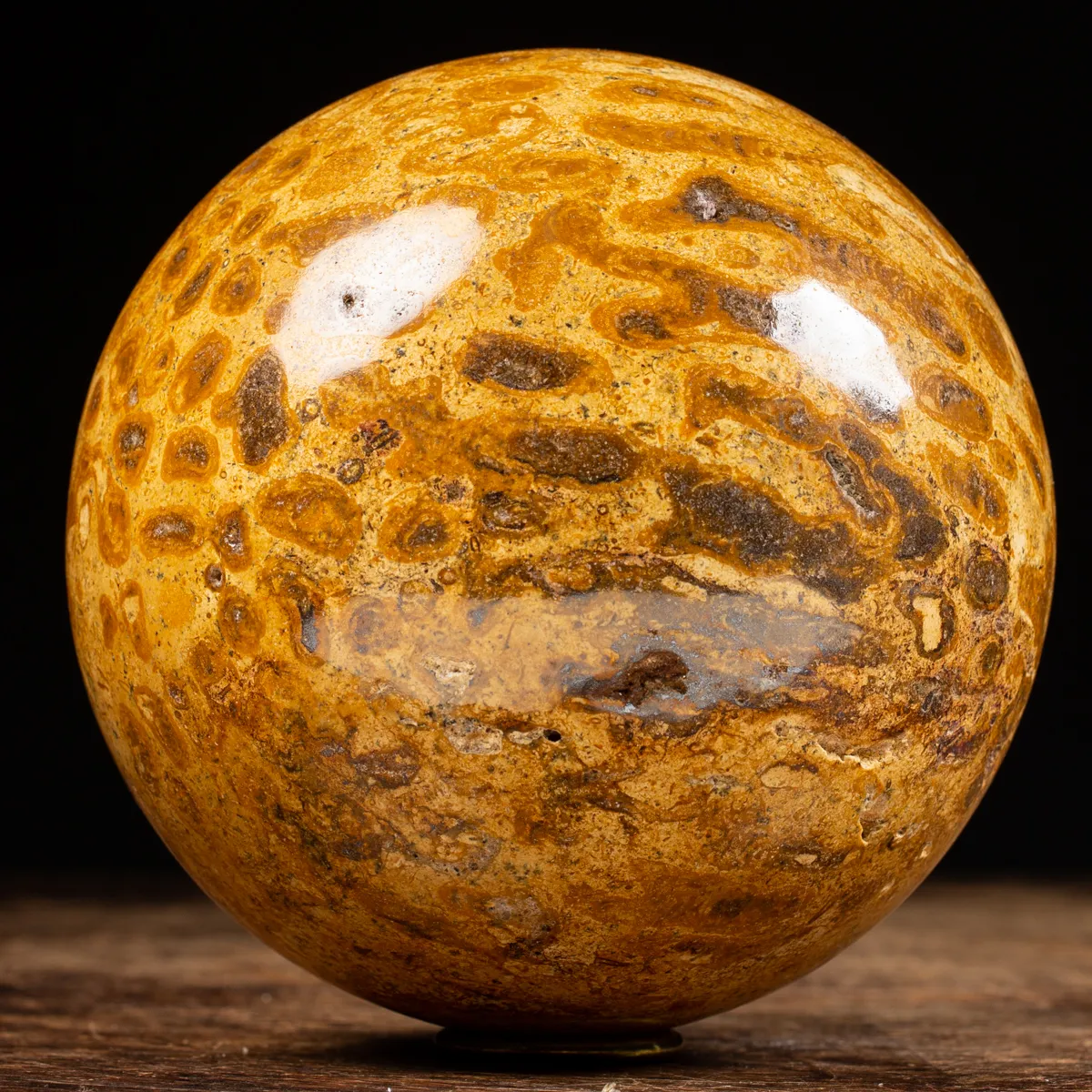 Sfera in Corallo Fossile
