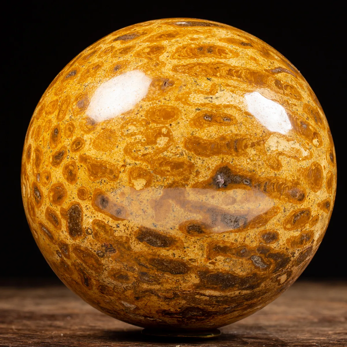 Sfera in Corallo Fossile