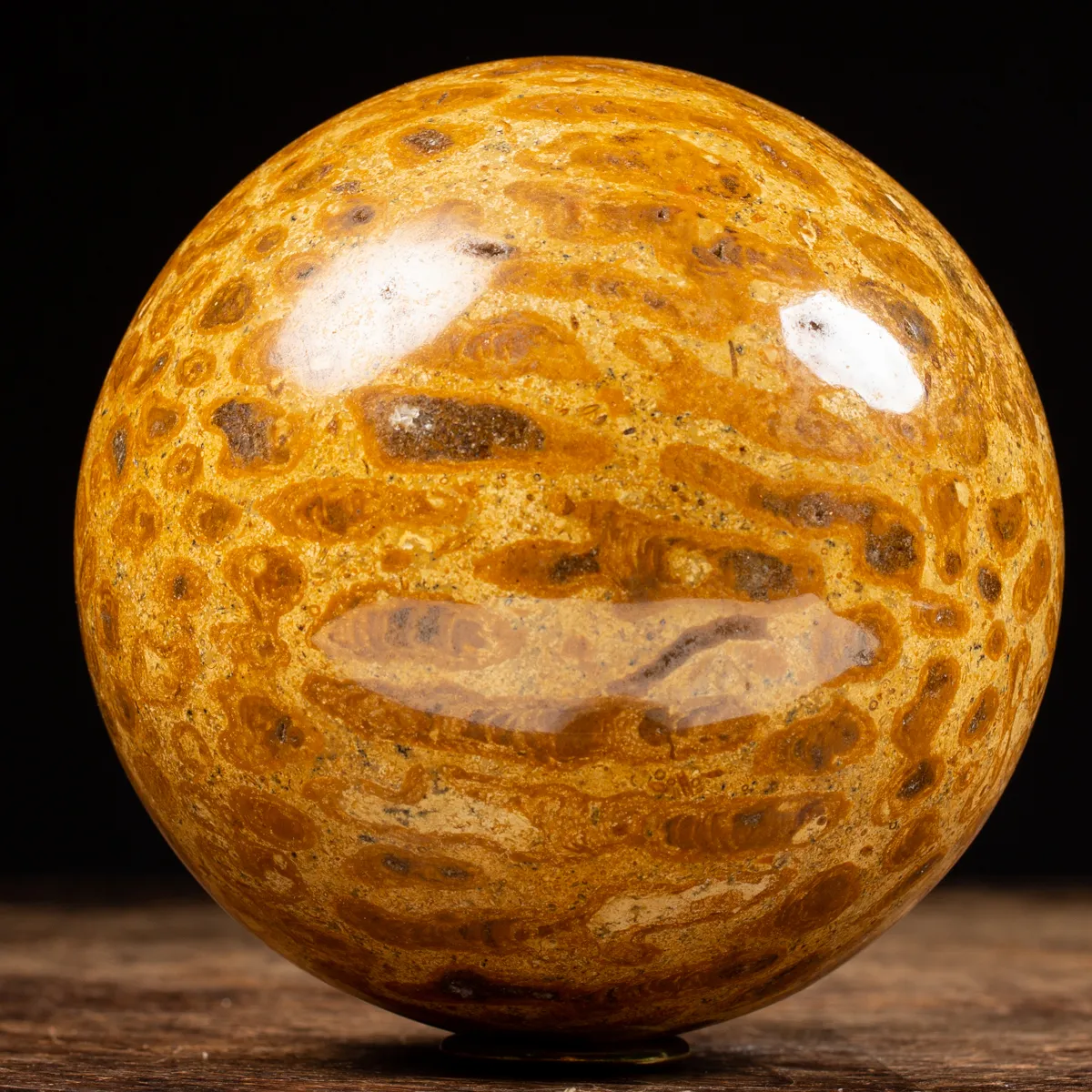 Sfera in Corallo Fossile