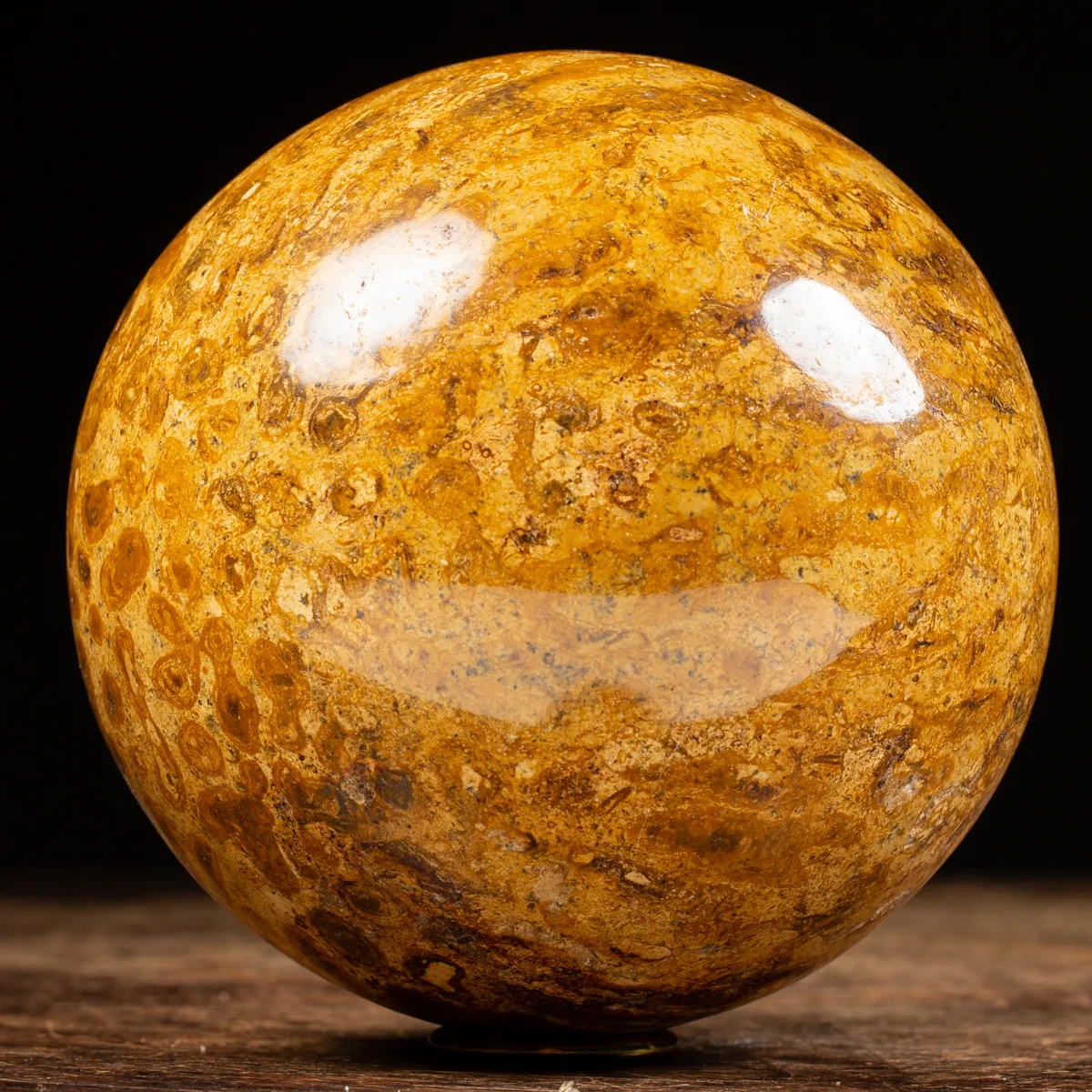 Sfera in Corallo Fossile