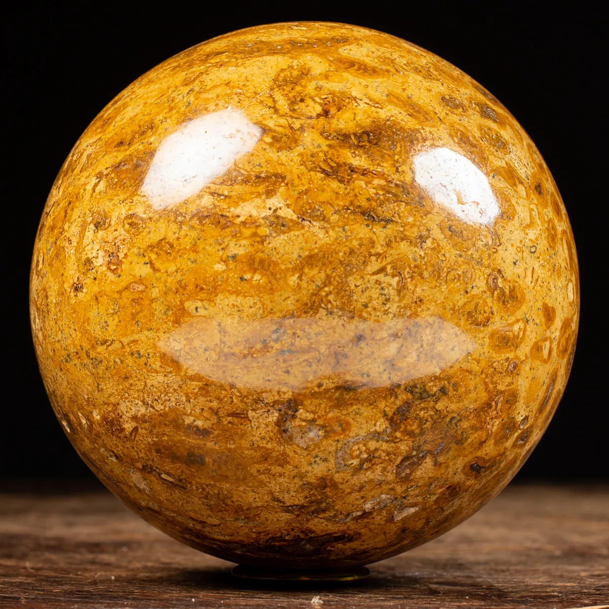 Sfera in Corallo Fossile