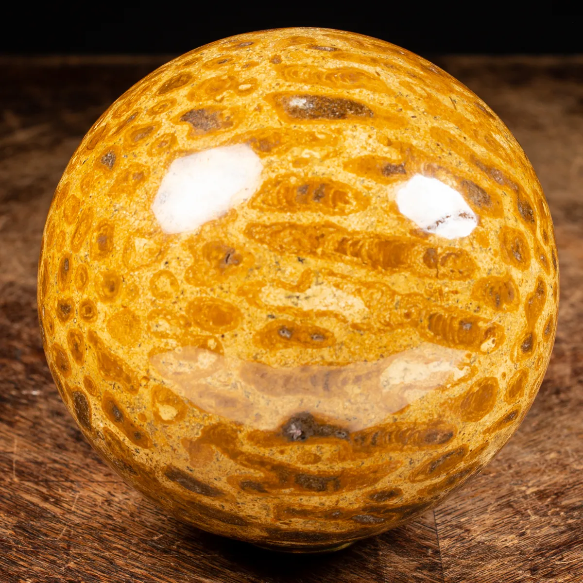 Sfera in Corallo Fossile