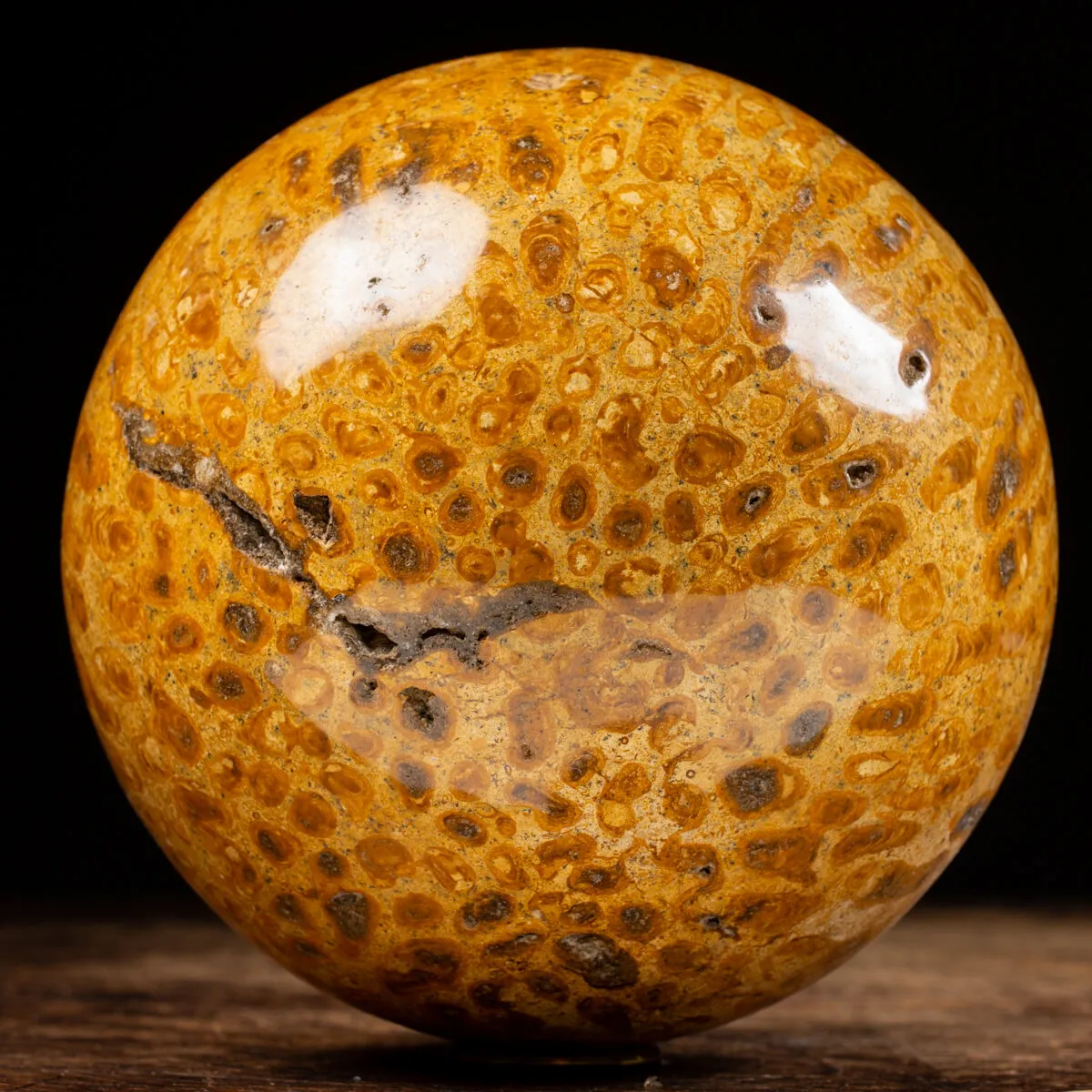 Sfera in Corallo Fossile
