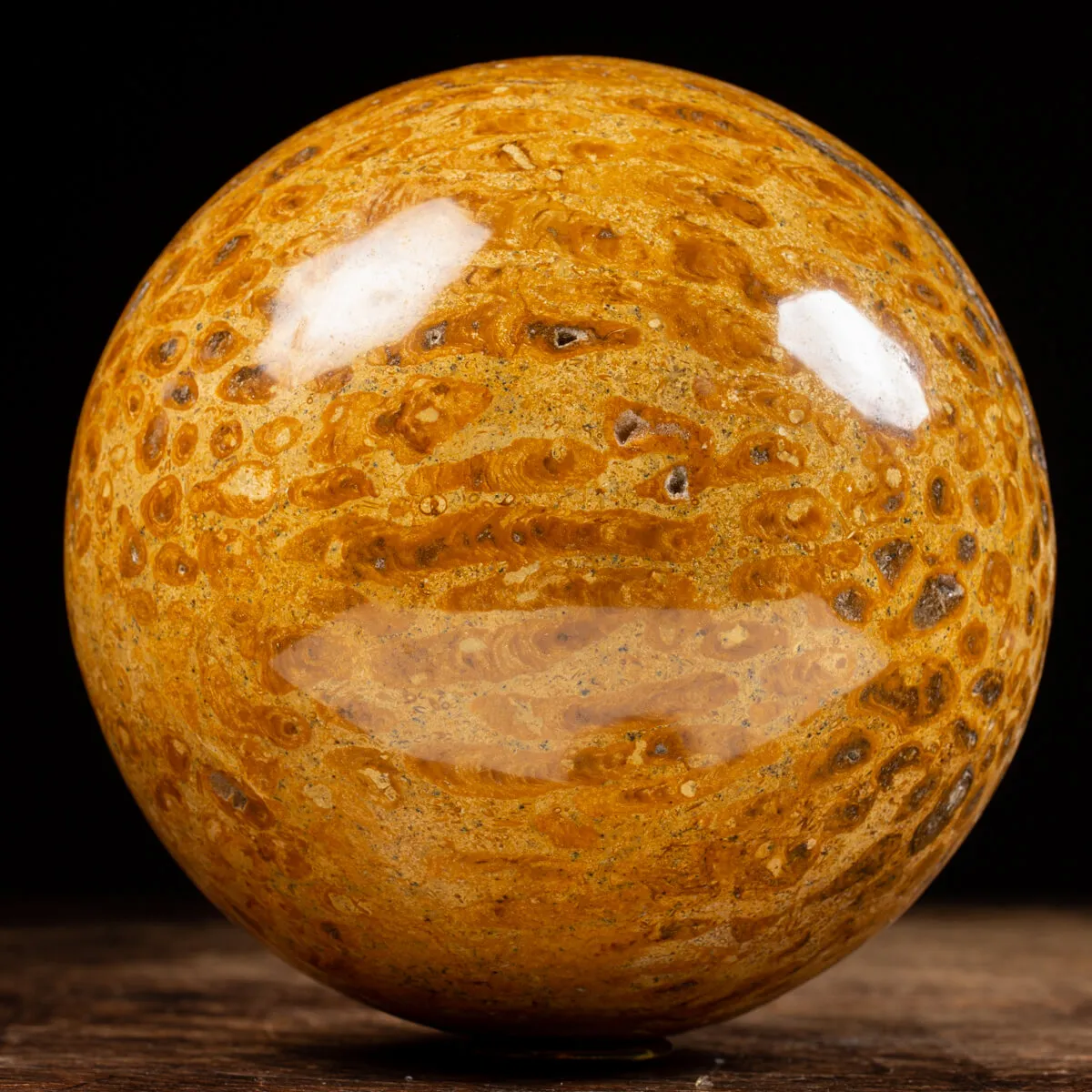 Sfera in Corallo Fossile