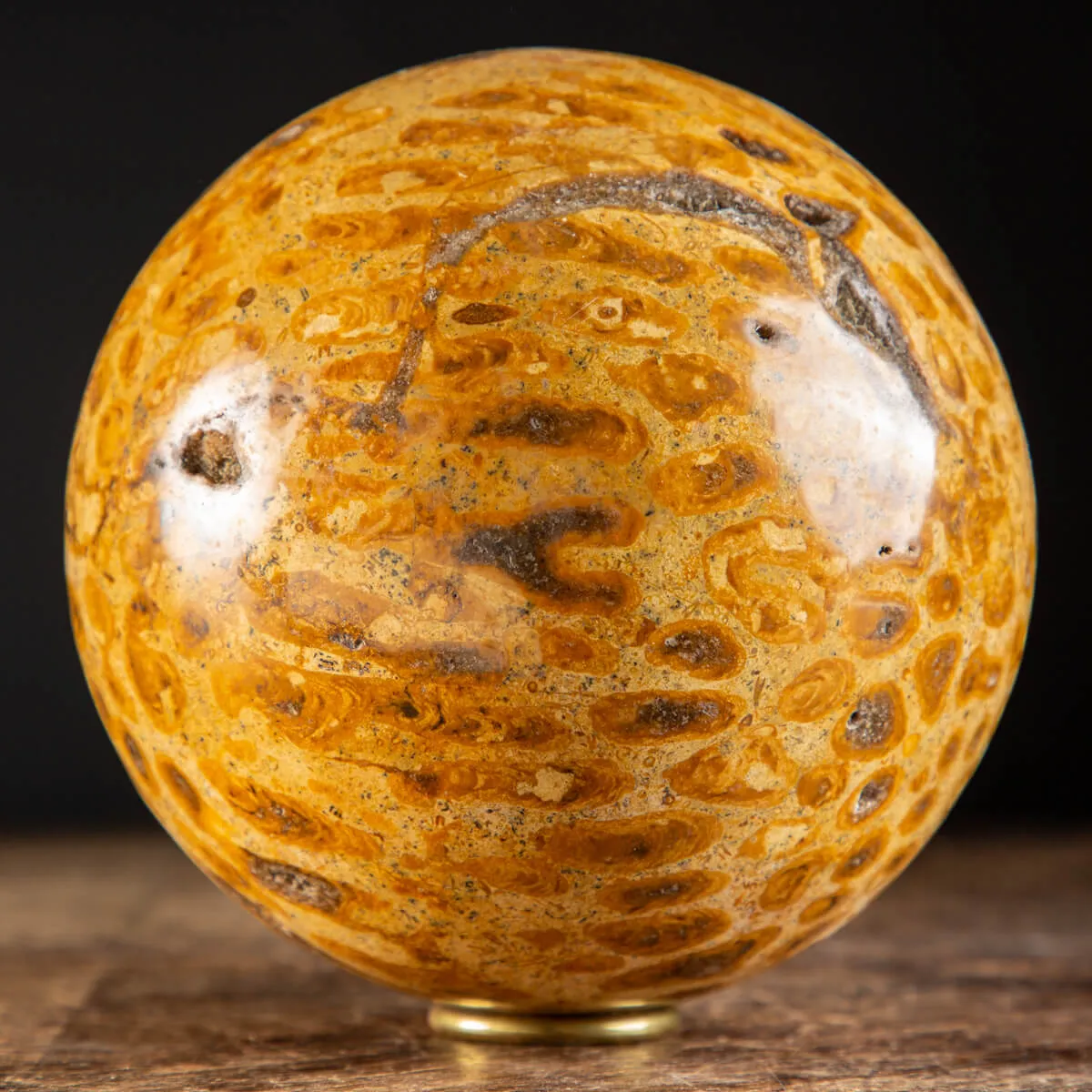 Sfera in Corallo Fossile