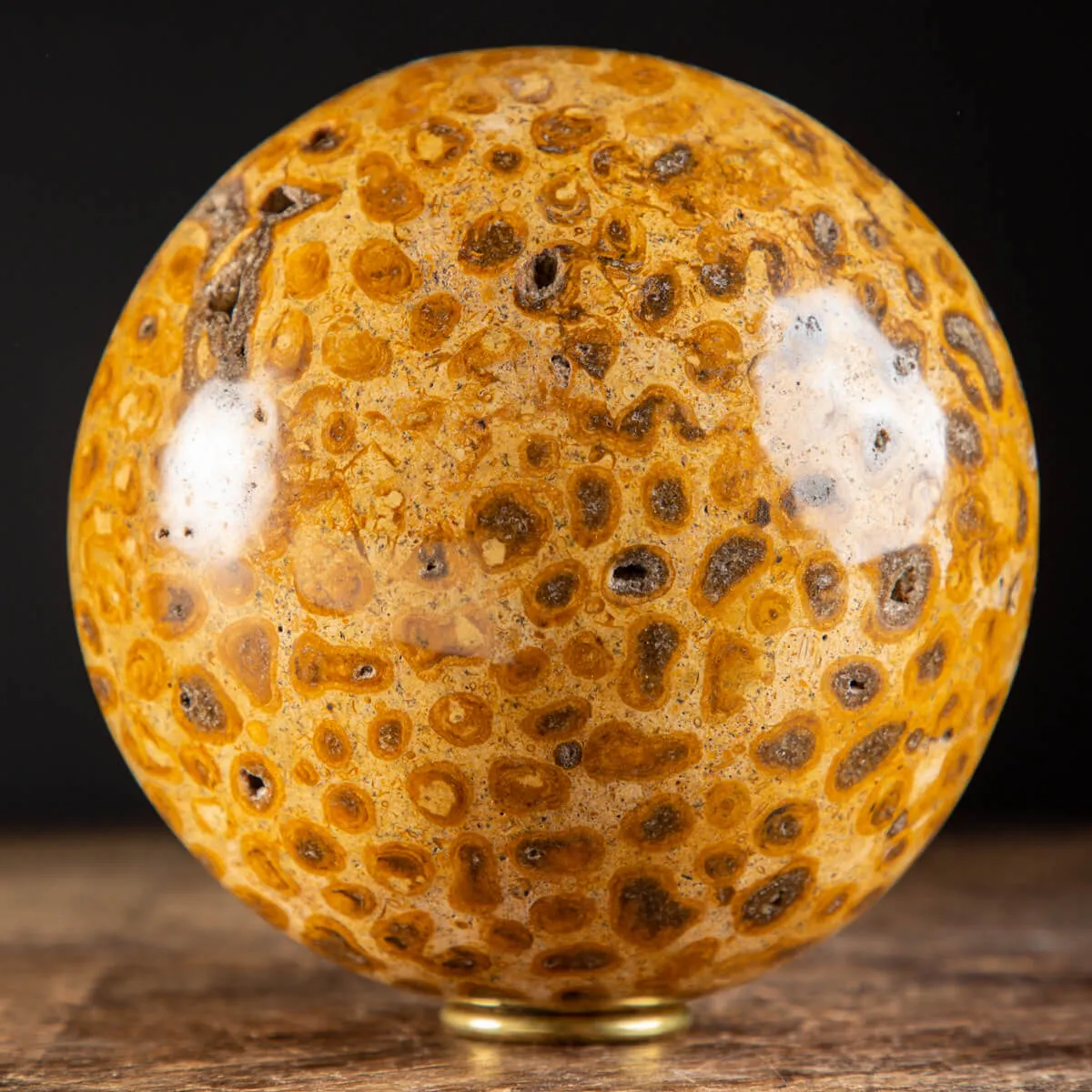 Sfera in Corallo Fossile