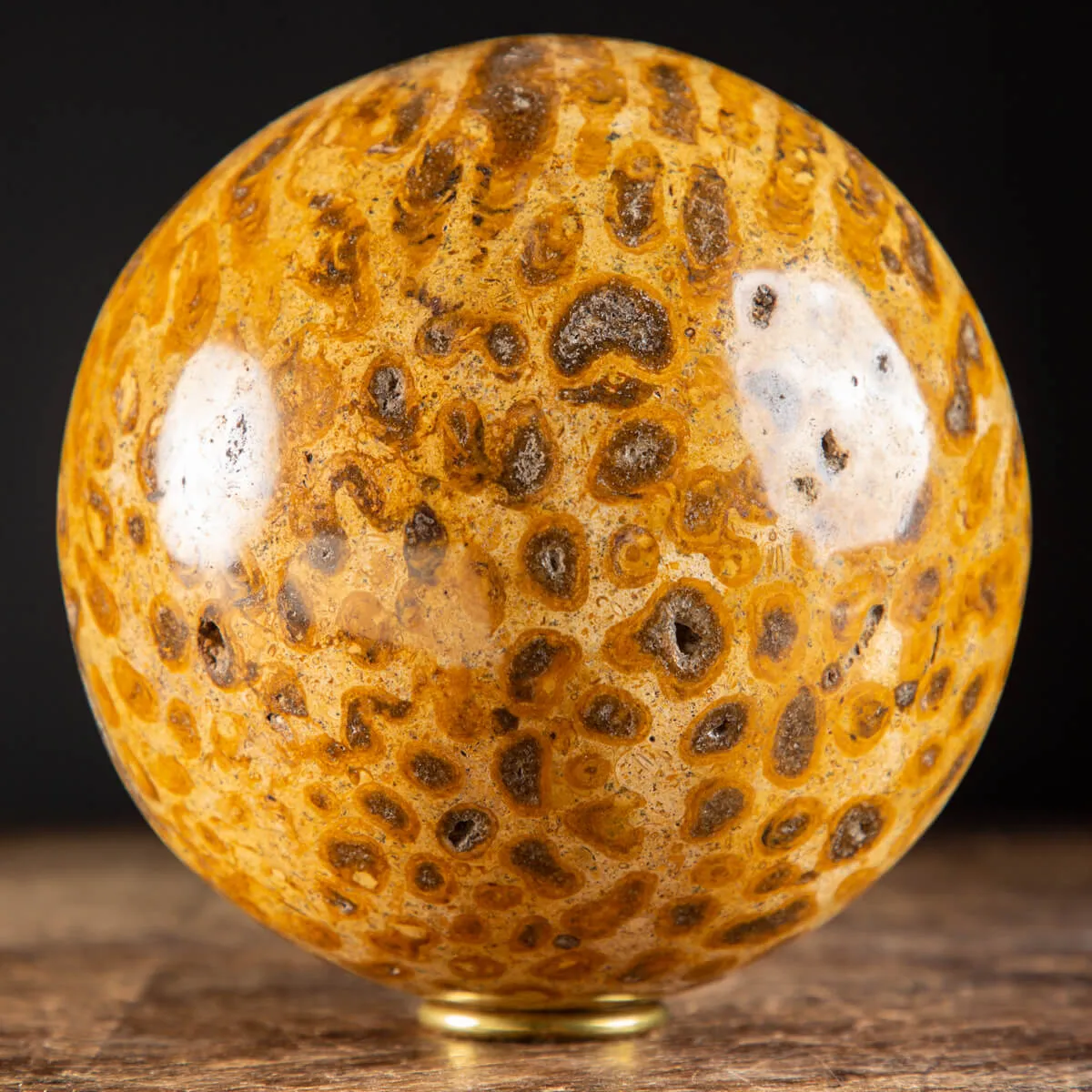 Sfera in Corallo Fossile