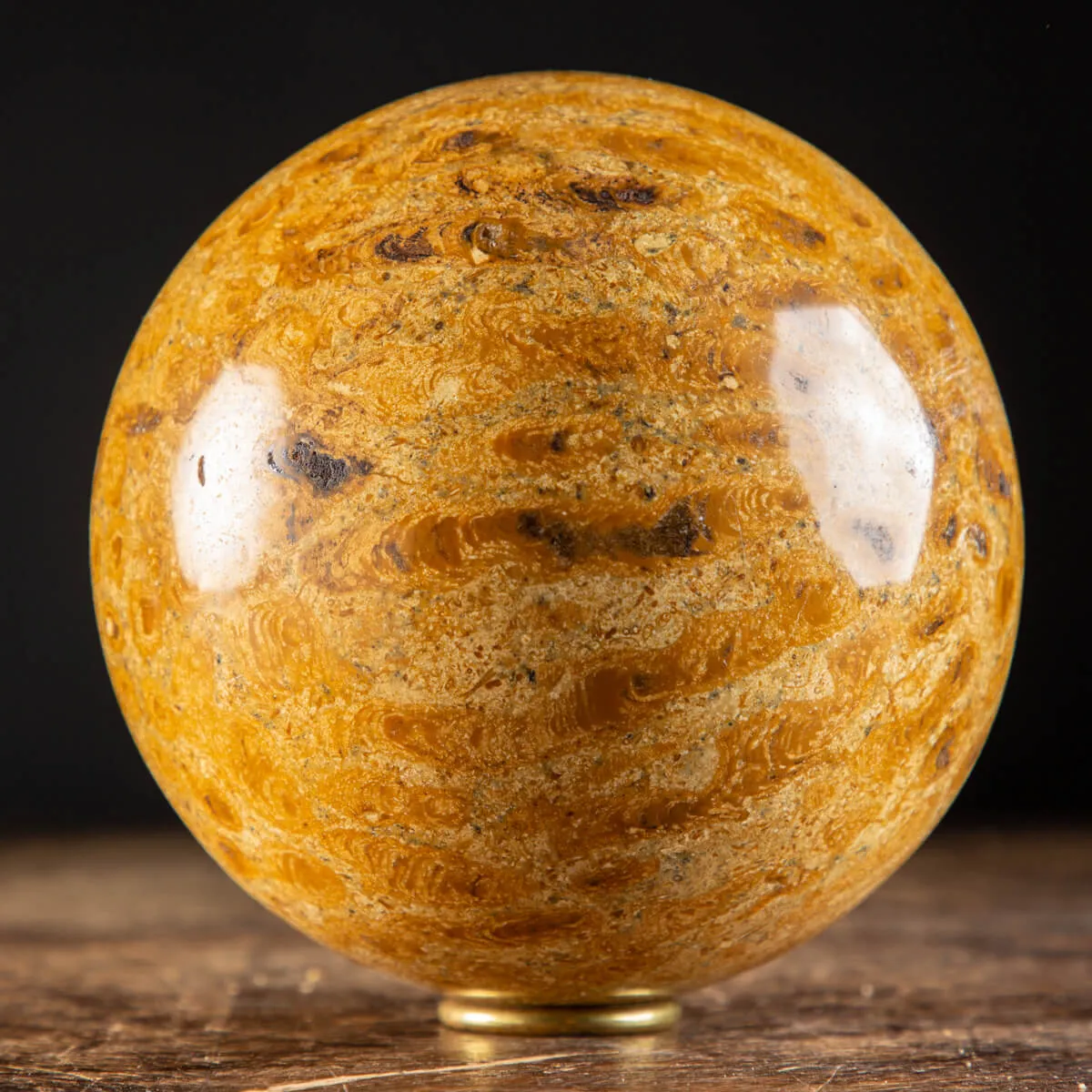 Sfera in Corallo Fossile