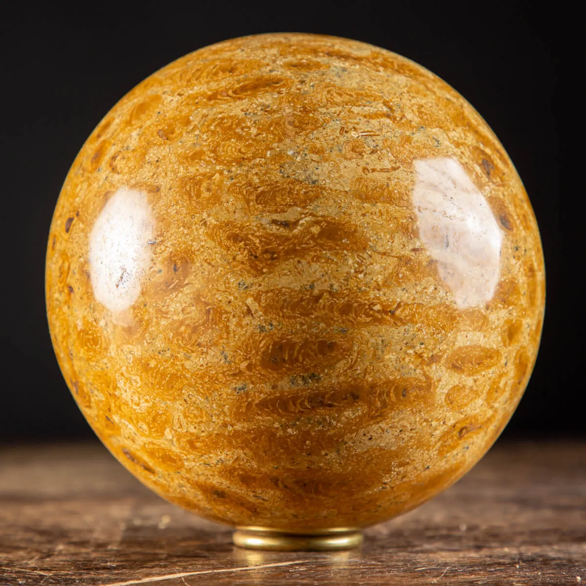 Sfera in Corallo Fossile