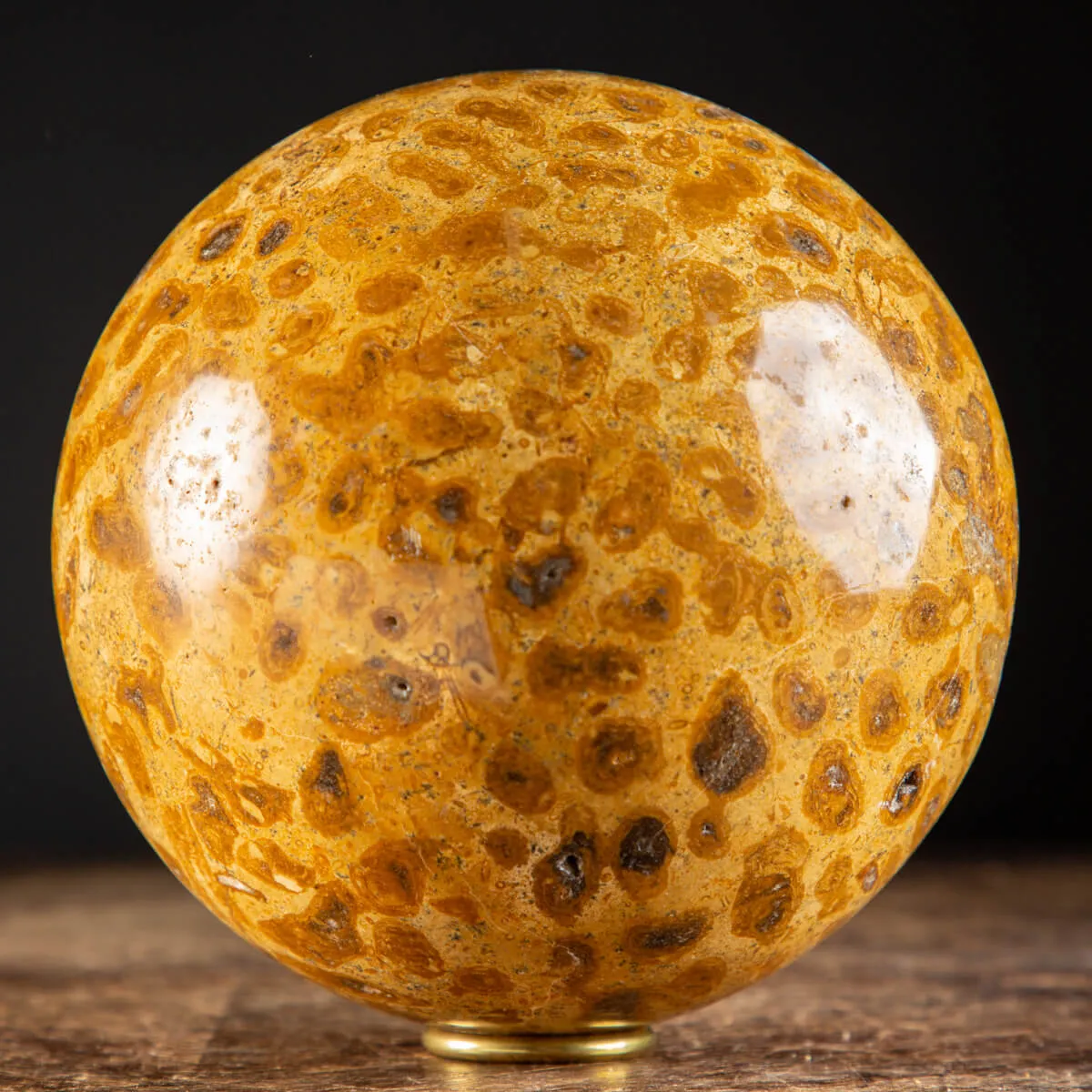 Sfera in Corallo Fossile