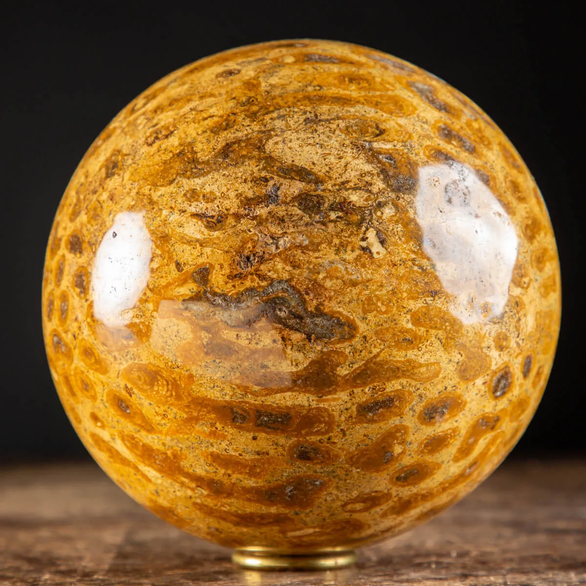 Sfera in Corallo Fossile