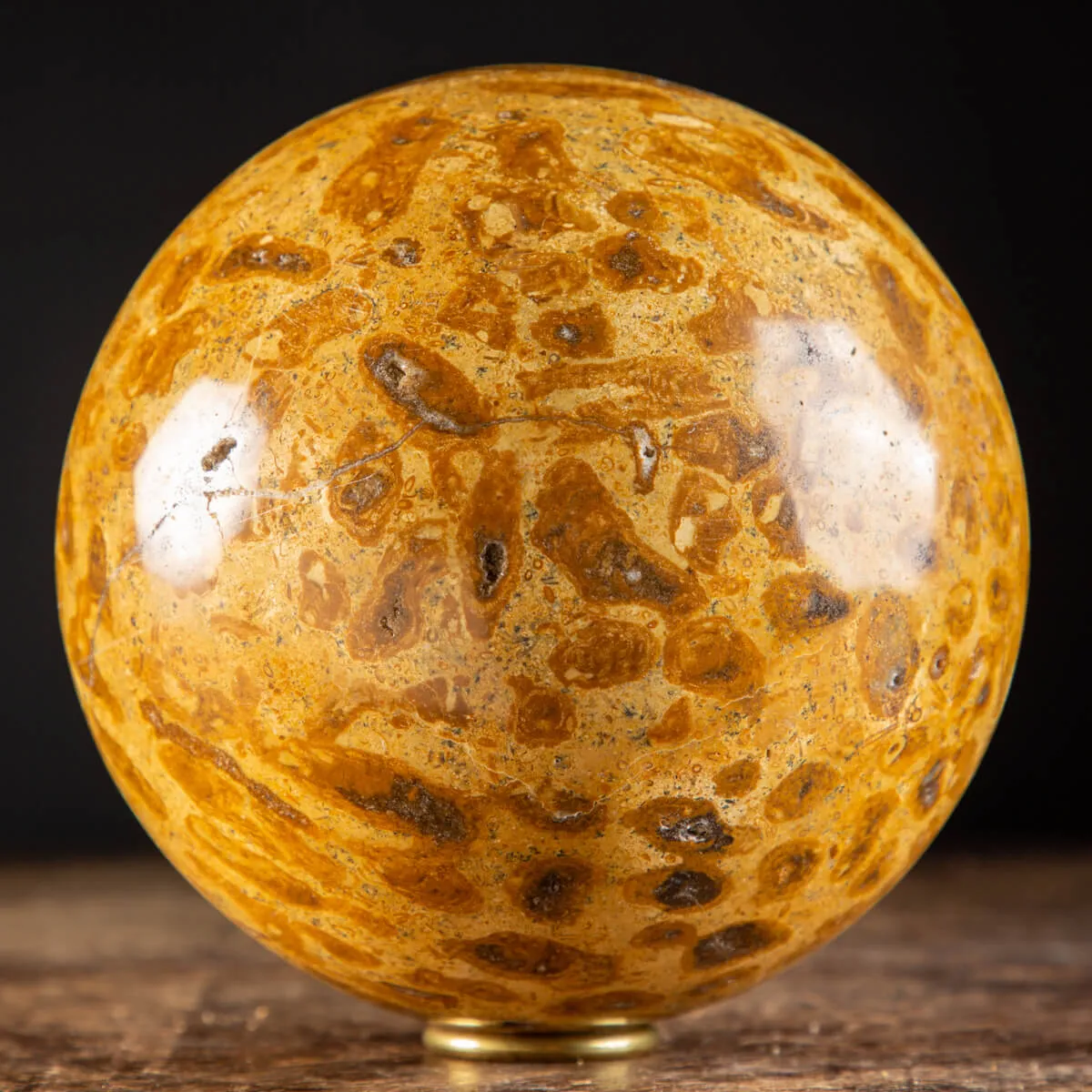 Sfera in Corallo Fossile