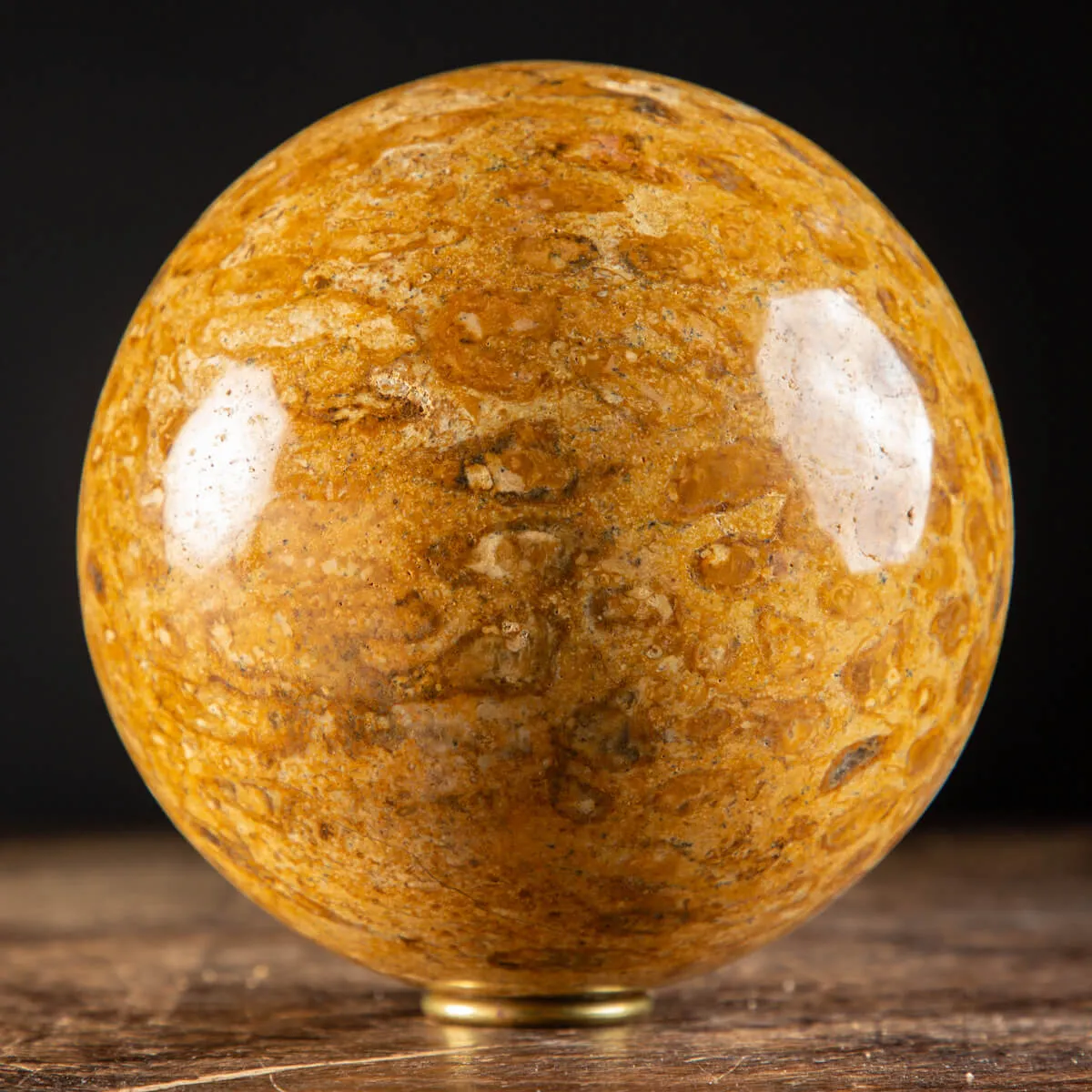 Sfera in Corallo Fossile