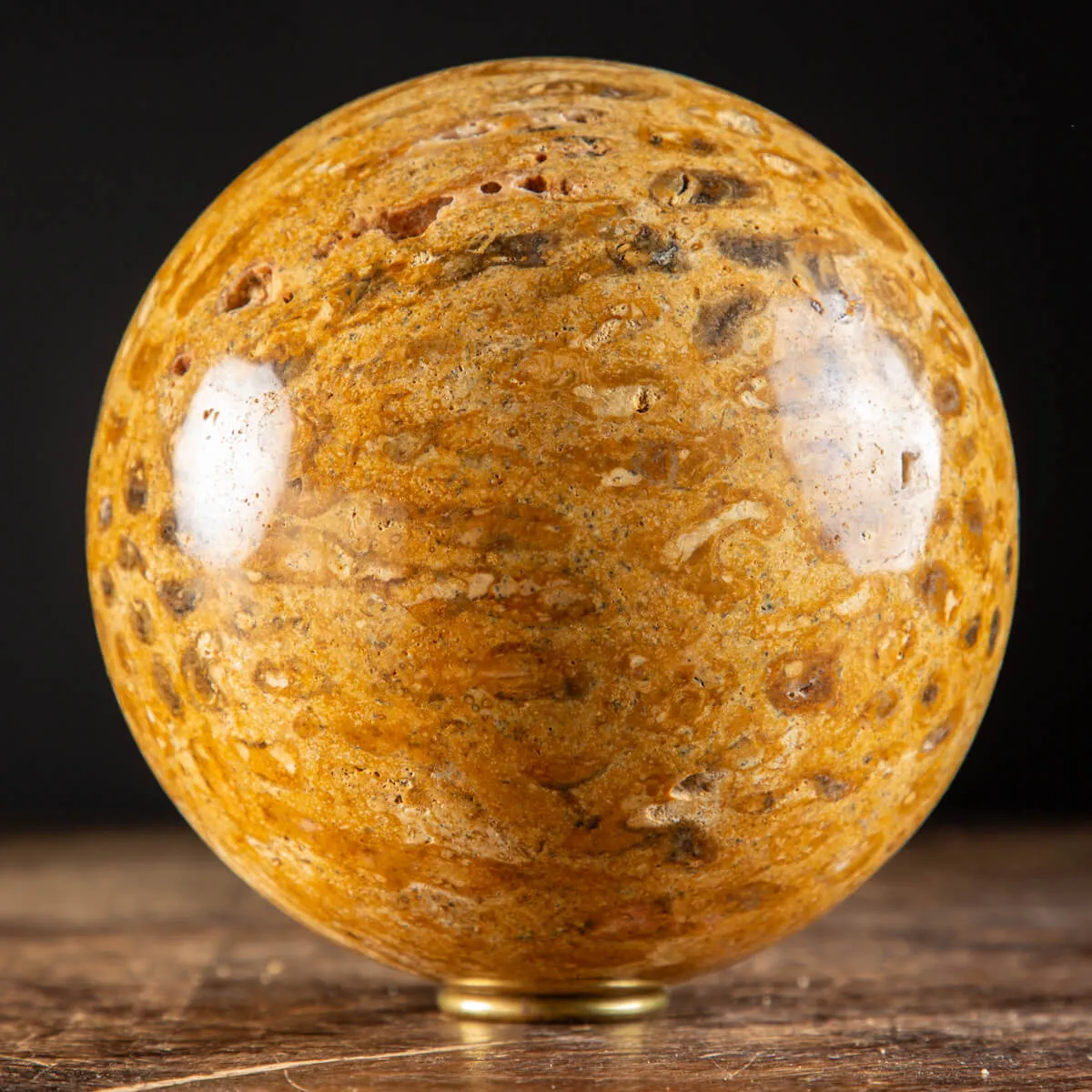Sfera in Corallo Fossile