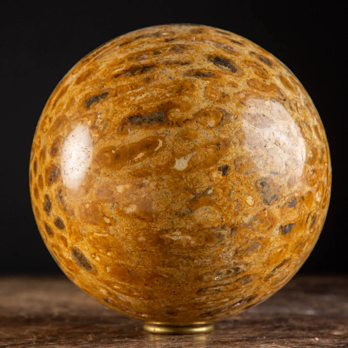 Sfera in Corallo Fossile