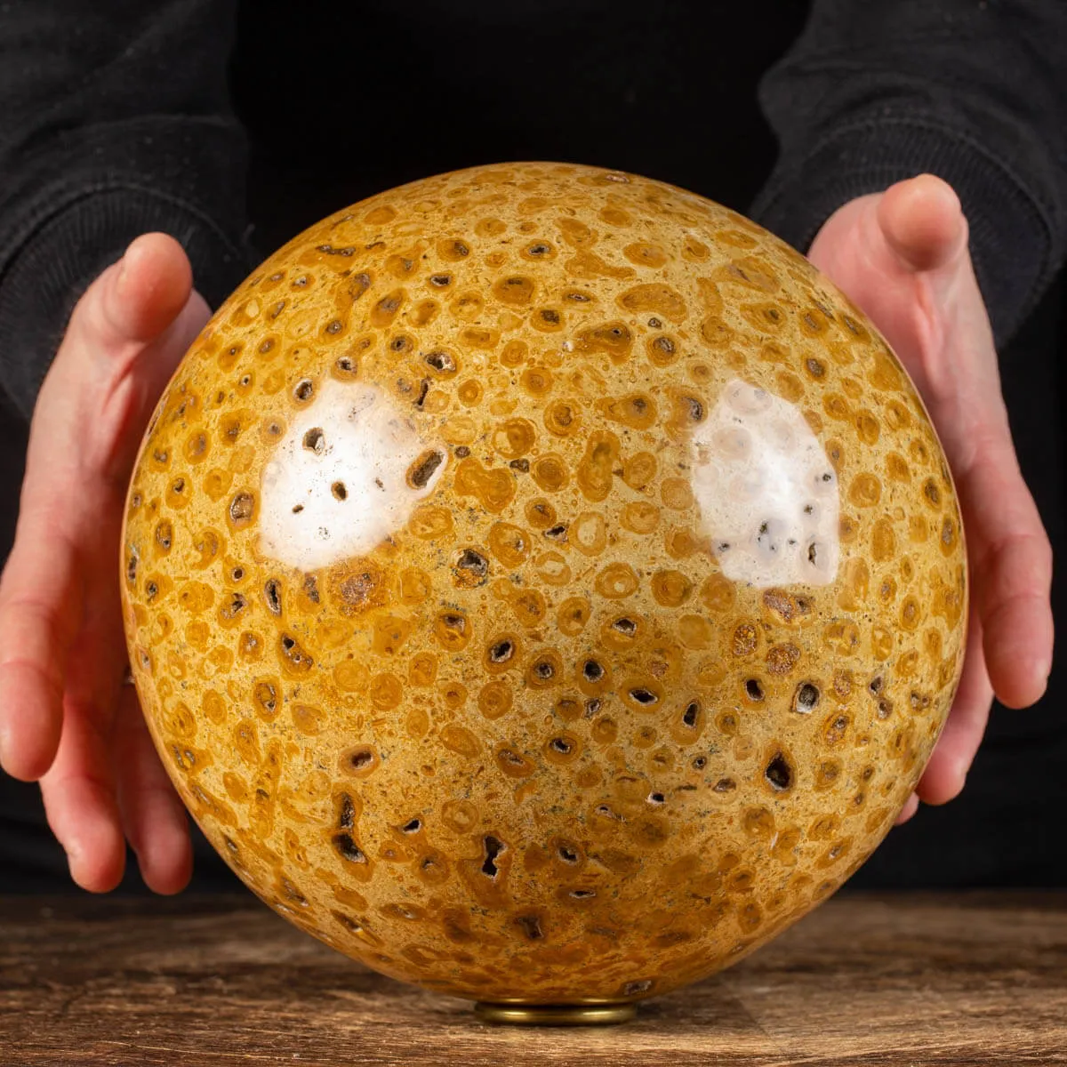 Sfera in Corallo Fossile