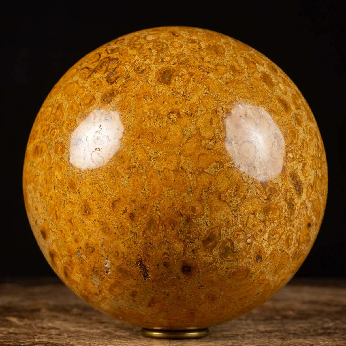 Sfera in Corallo Fossile