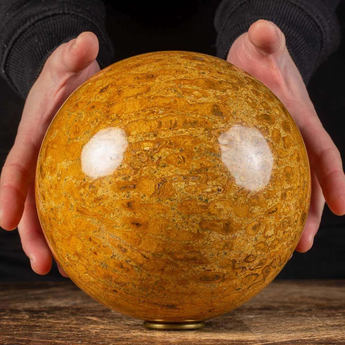 Sfera in Corallo Fossile
