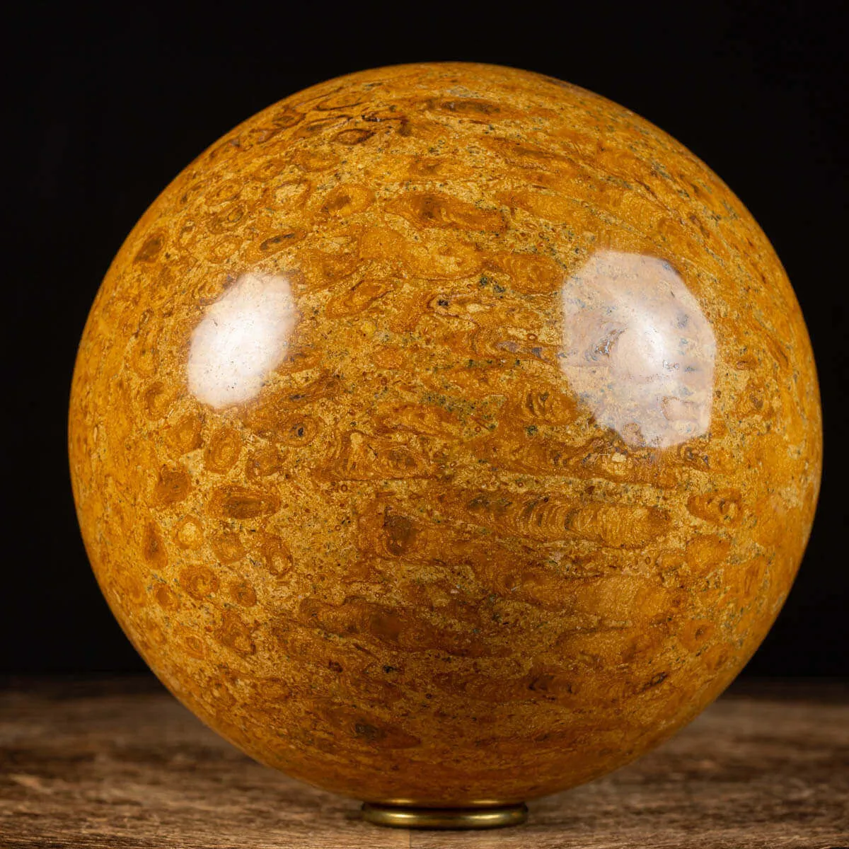 Sfera in Corallo Fossile