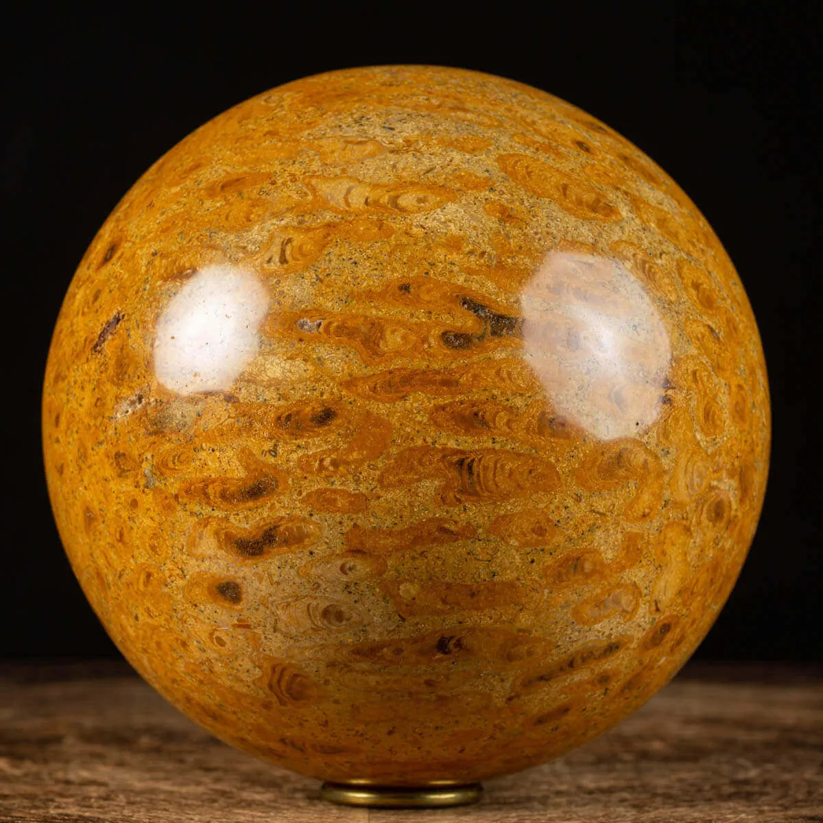 Sfera in Corallo Fossile