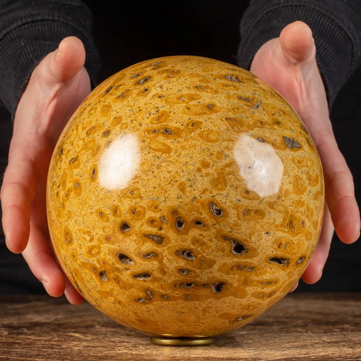 Sfera in Corallo Fossile