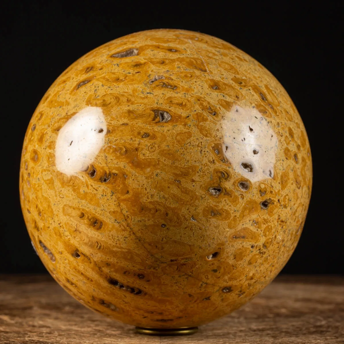 Sfera in Corallo Fossile