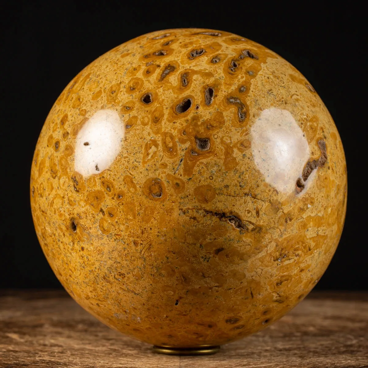 Sfera in Corallo Fossile