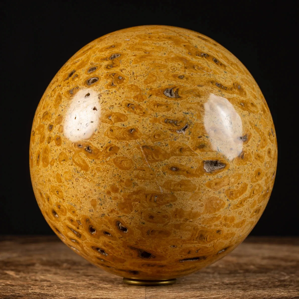 Sfera in Corallo Fossile