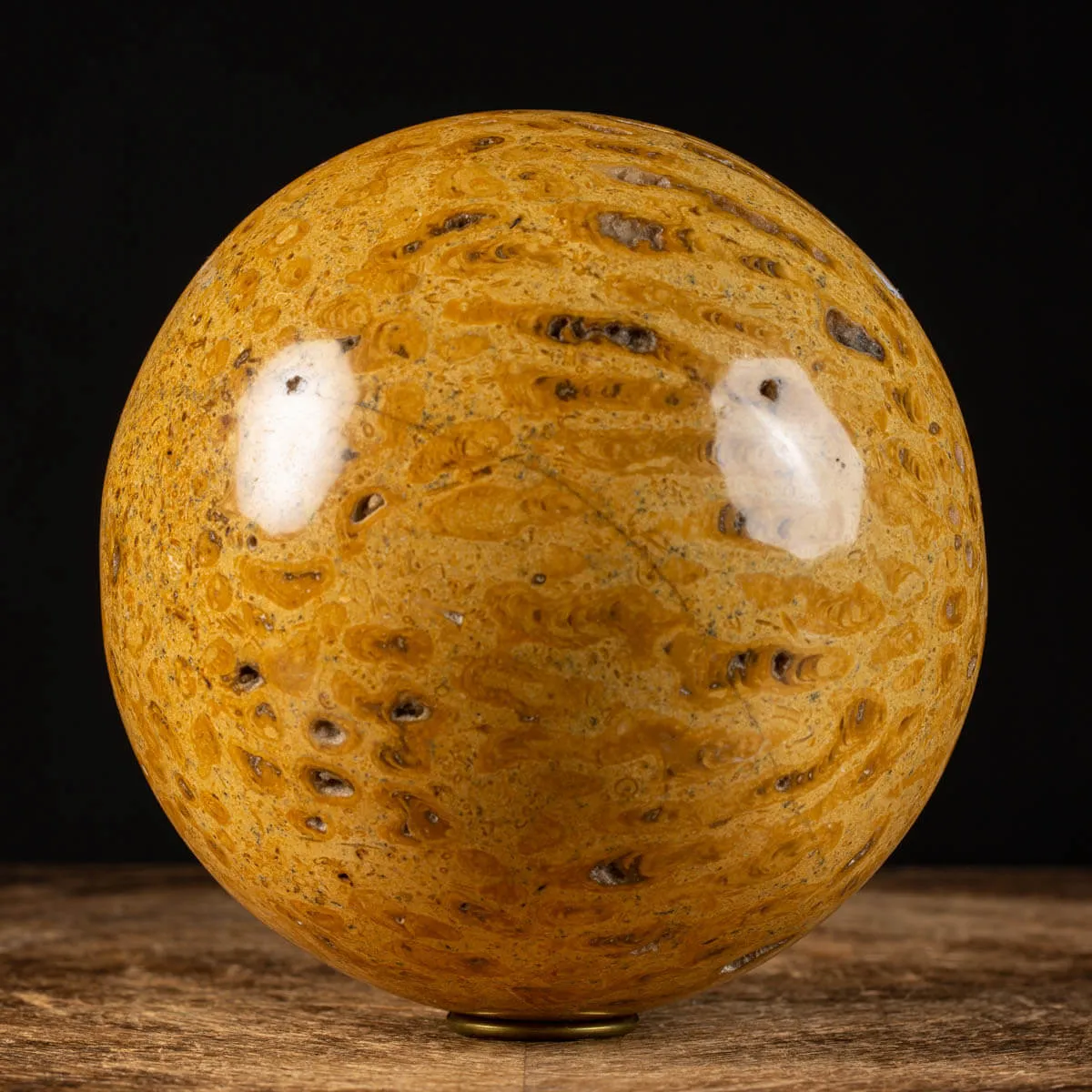 Sfera in Corallo Fossile