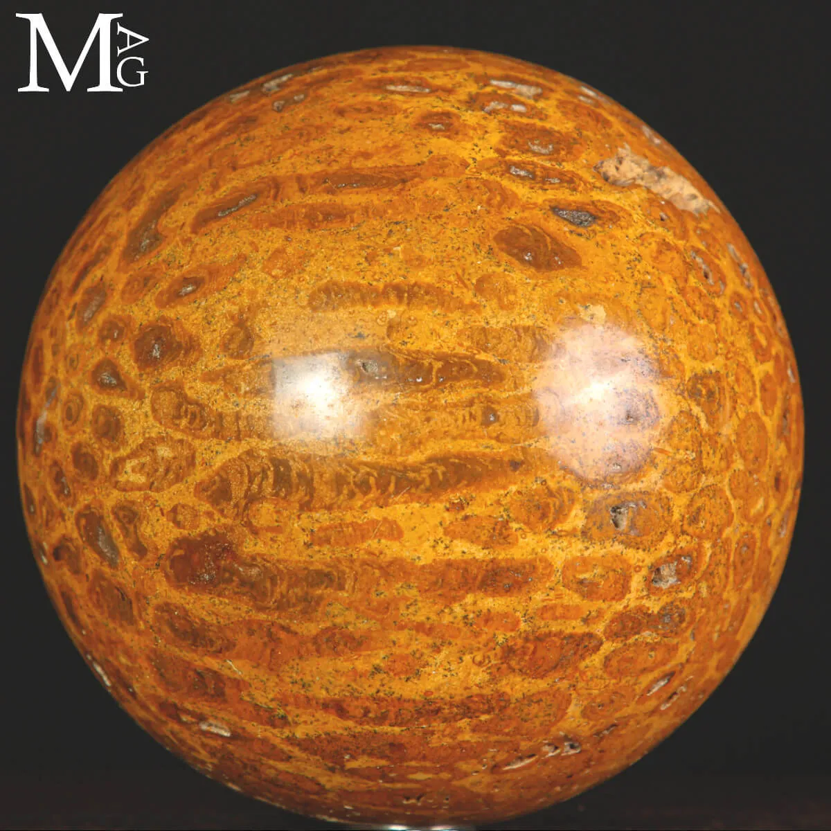 Sfera di Corallo Fossile del Madagascar.