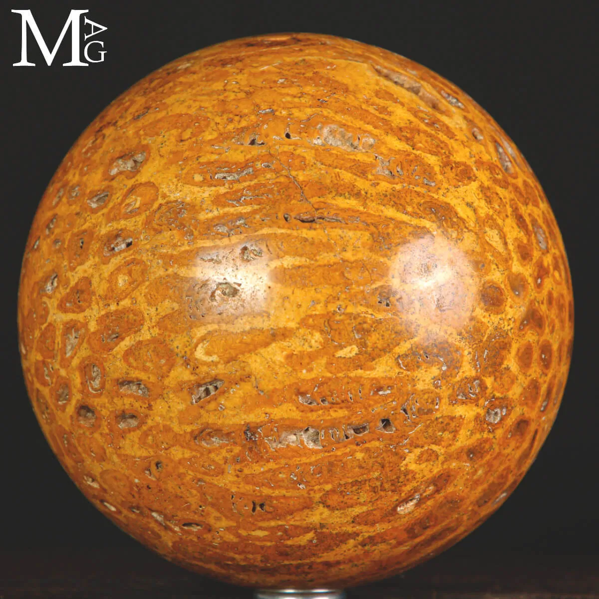 Sfera di Corallo Fossile del Madagascar.