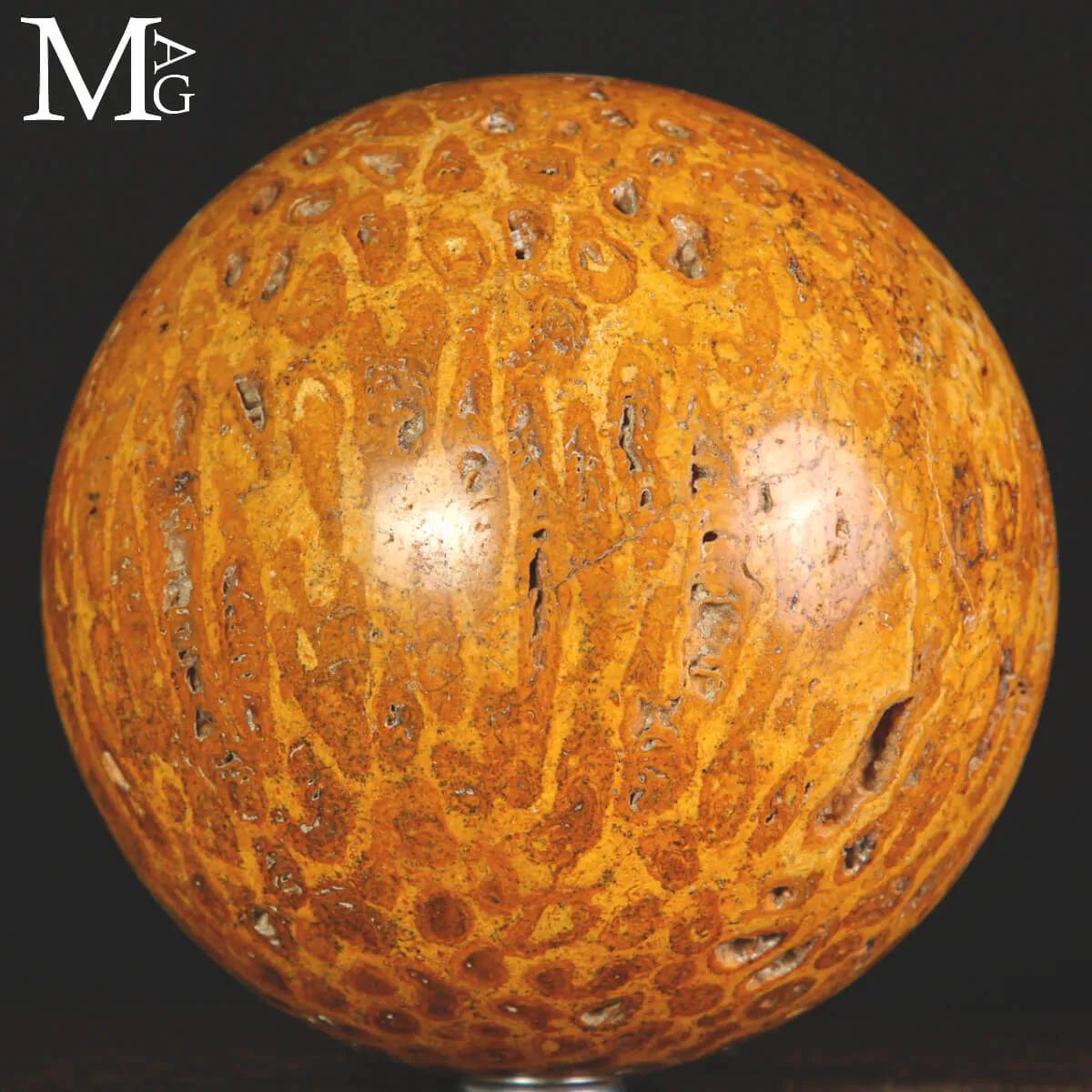 Sfera di Corallo Fossile del Madagascar.