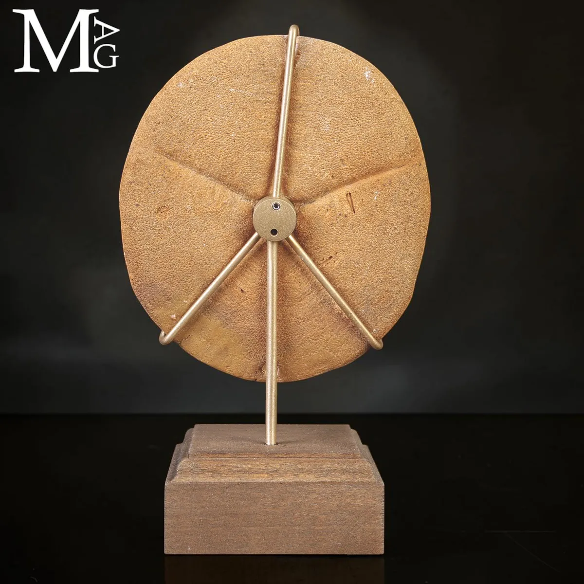 Clypeaster Fossile su Base in Legno e Ottone –  Marocco