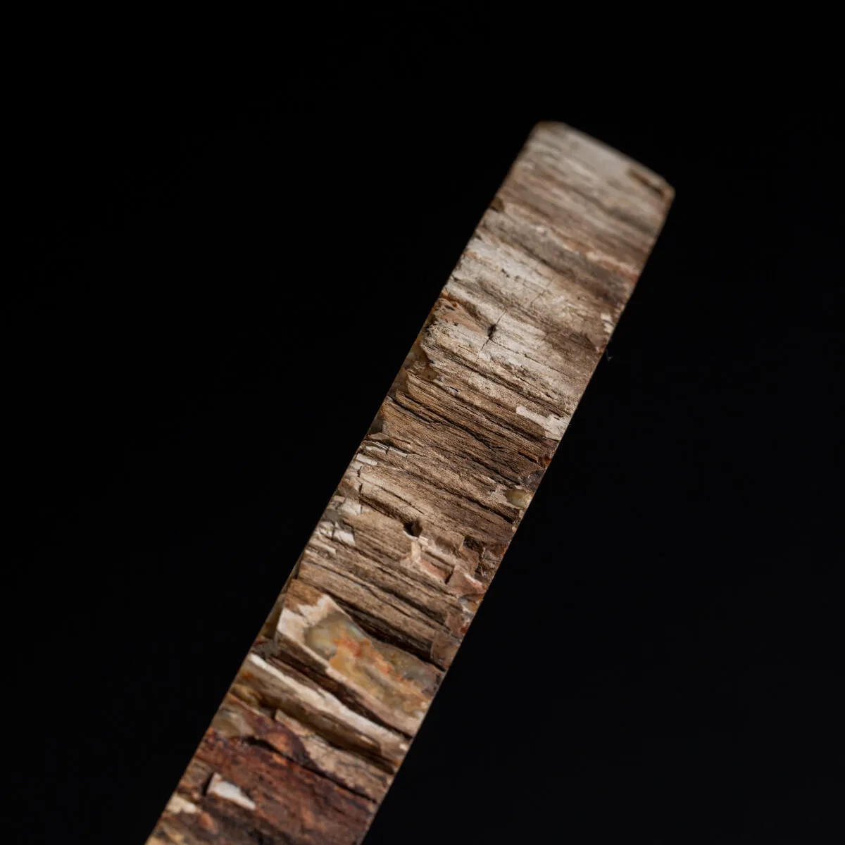 Lastra Legno Fossile