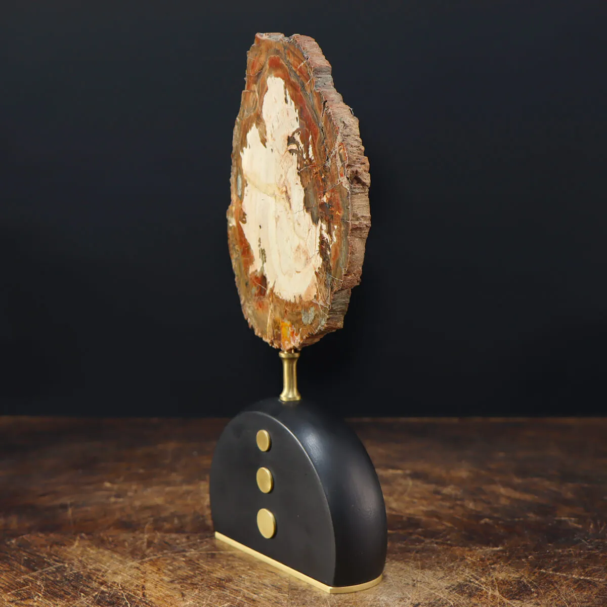 Legno di Auricaria Pietrificata su base