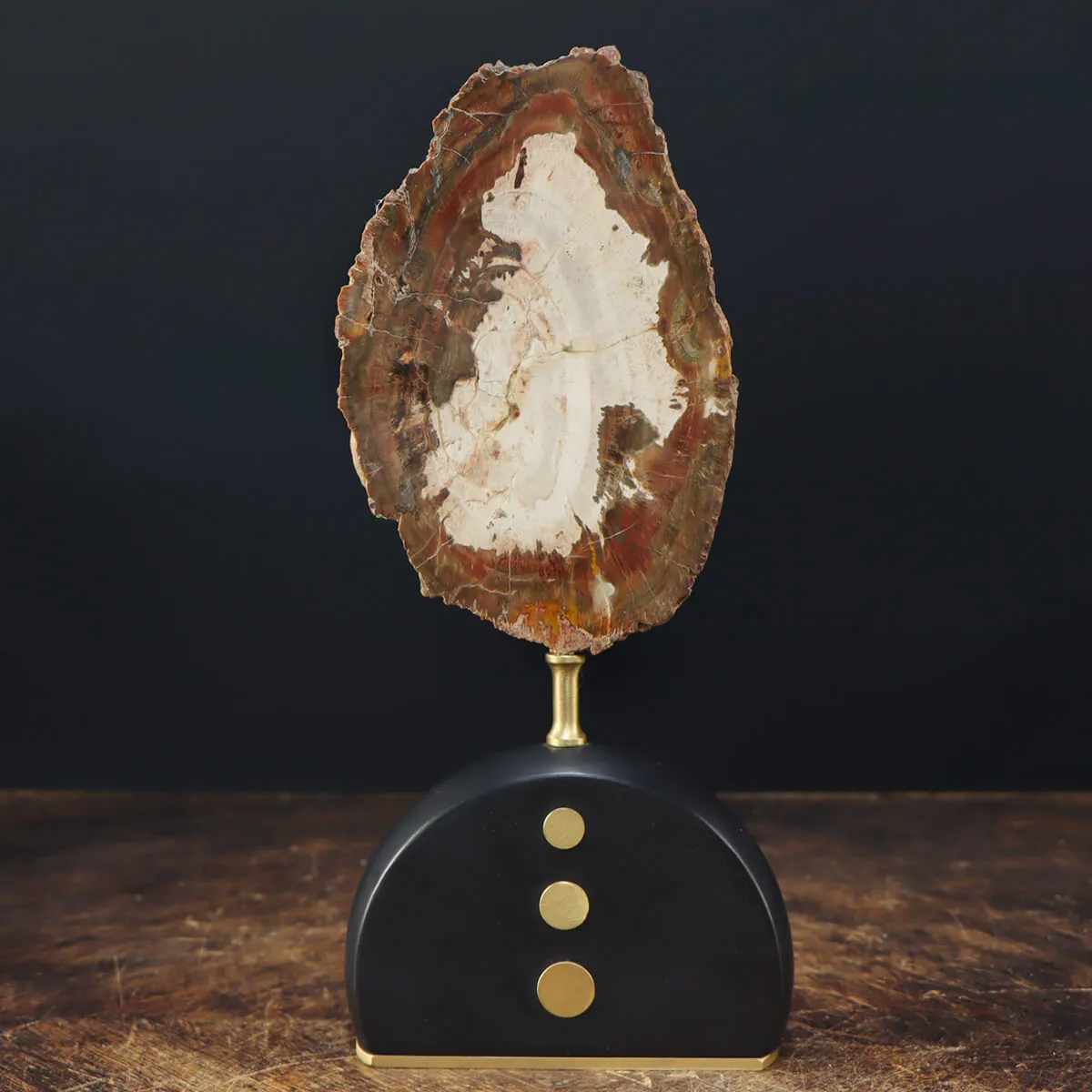 Legno di Auricaria Pietrificata su base