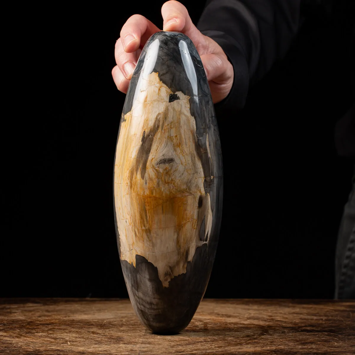 Ovale Legno Pietrificato