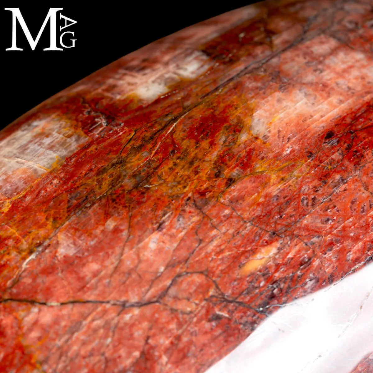 Shiva Lingam in Legno Fossile Agatizzato.