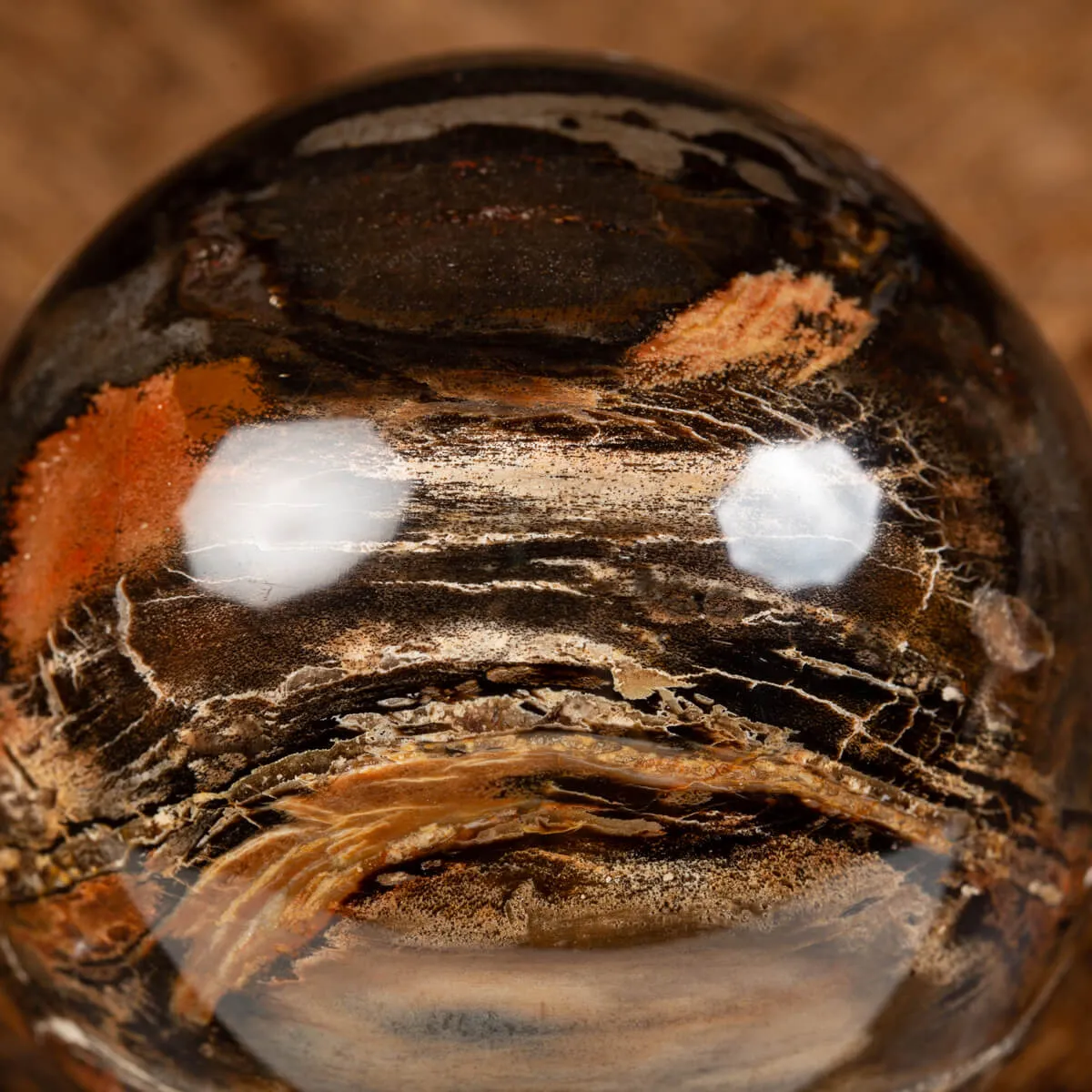 Sfera di Legno Pietrificato