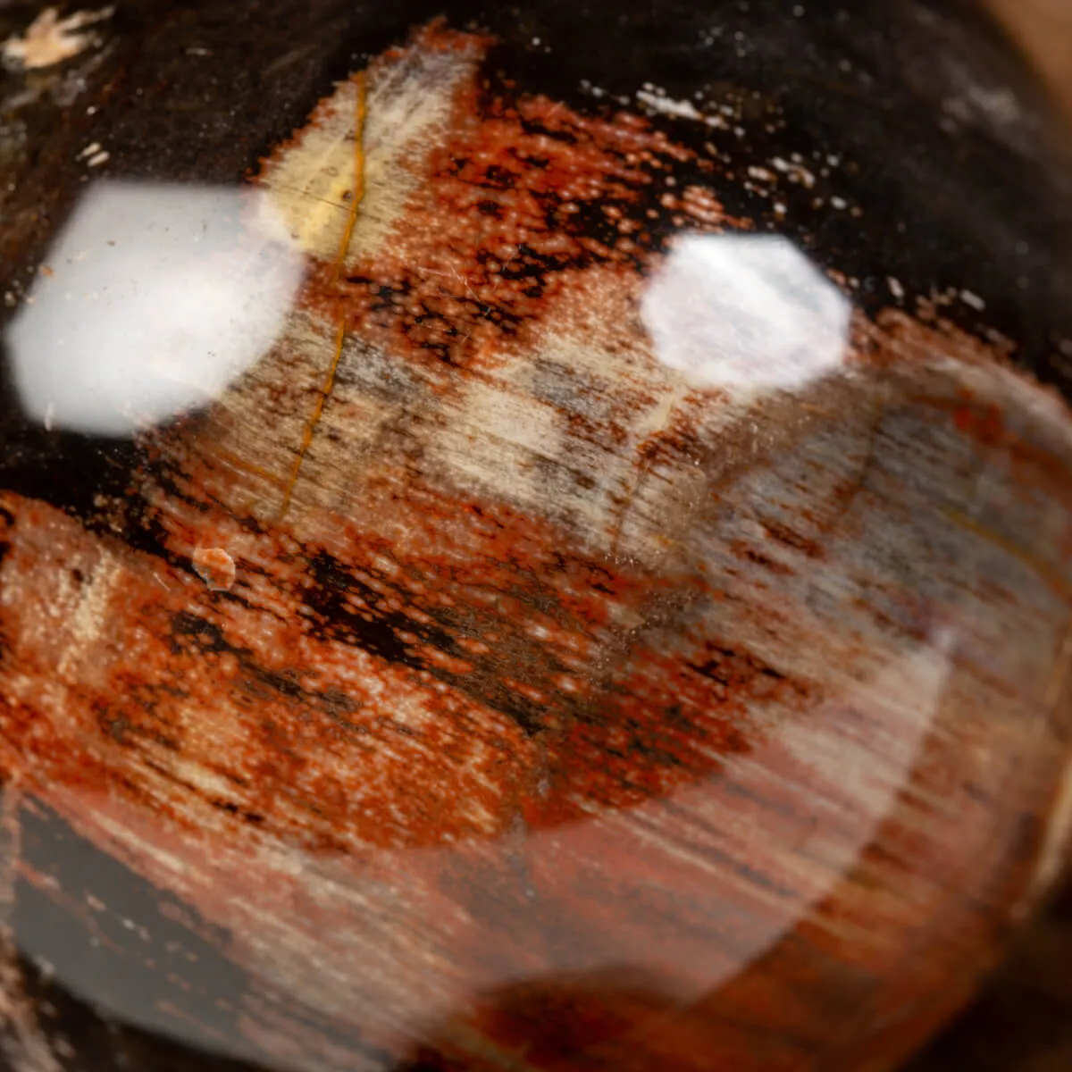 Sfera di Legno Pietrificato