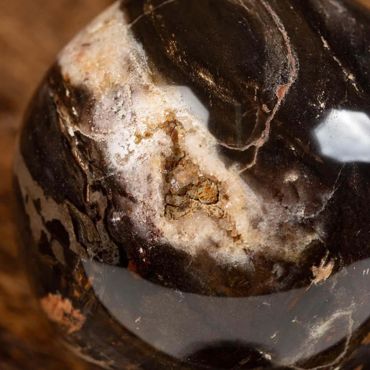 Sfera di Legno Pietrificato