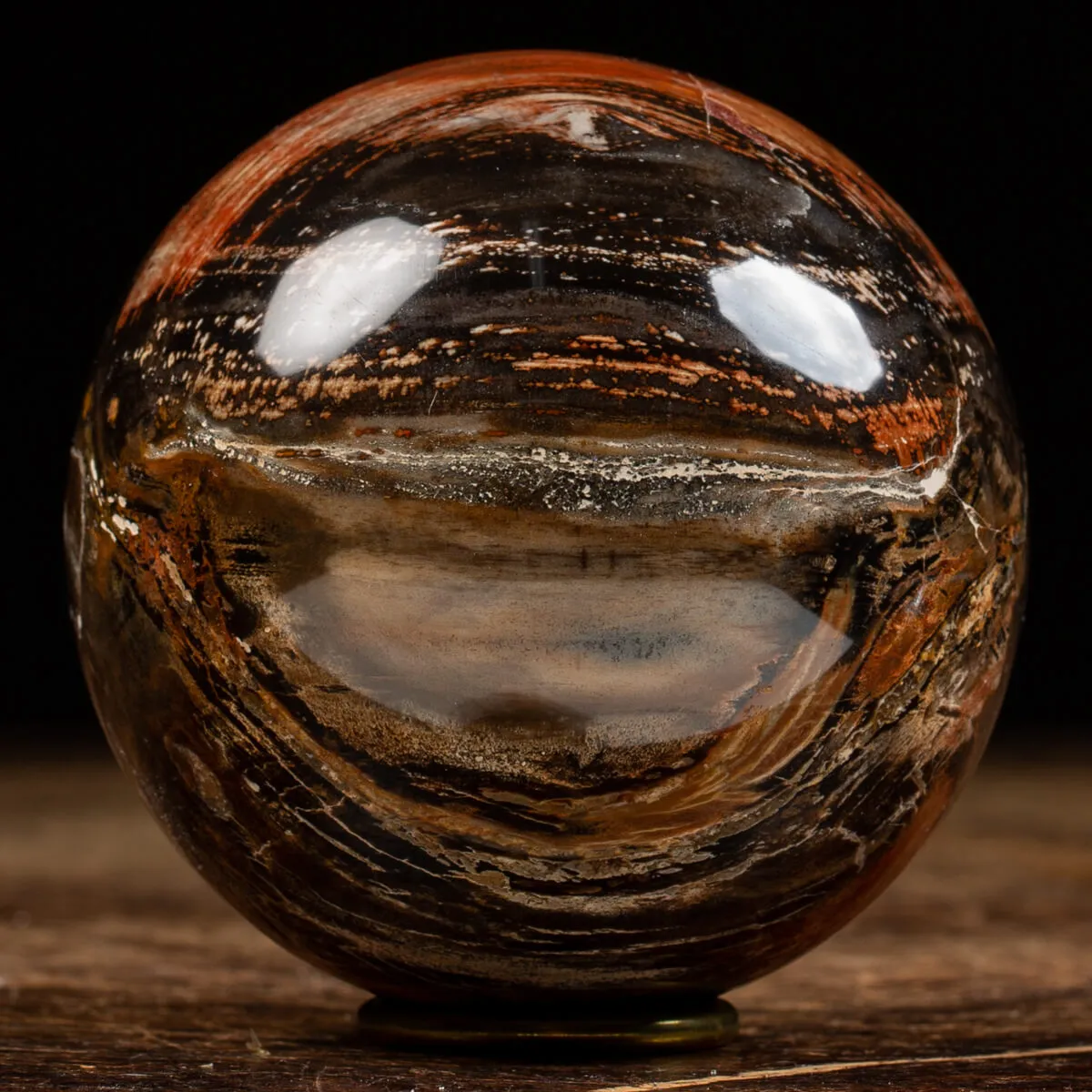 Sfera di Legno Pietrificato