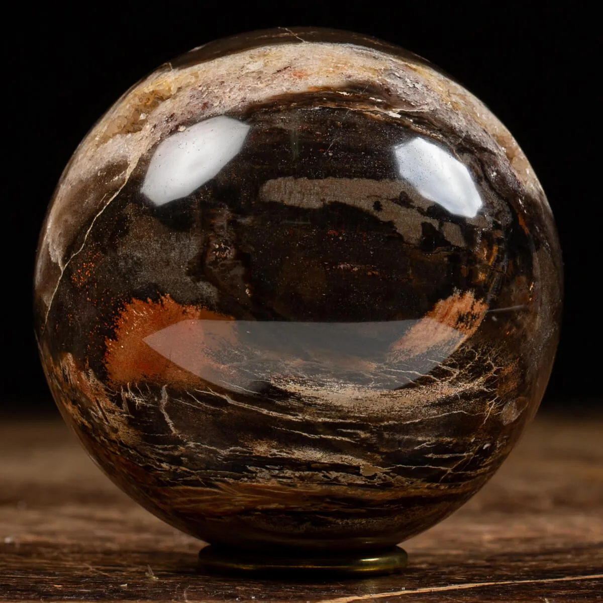 Sfera di Legno Pietrificato