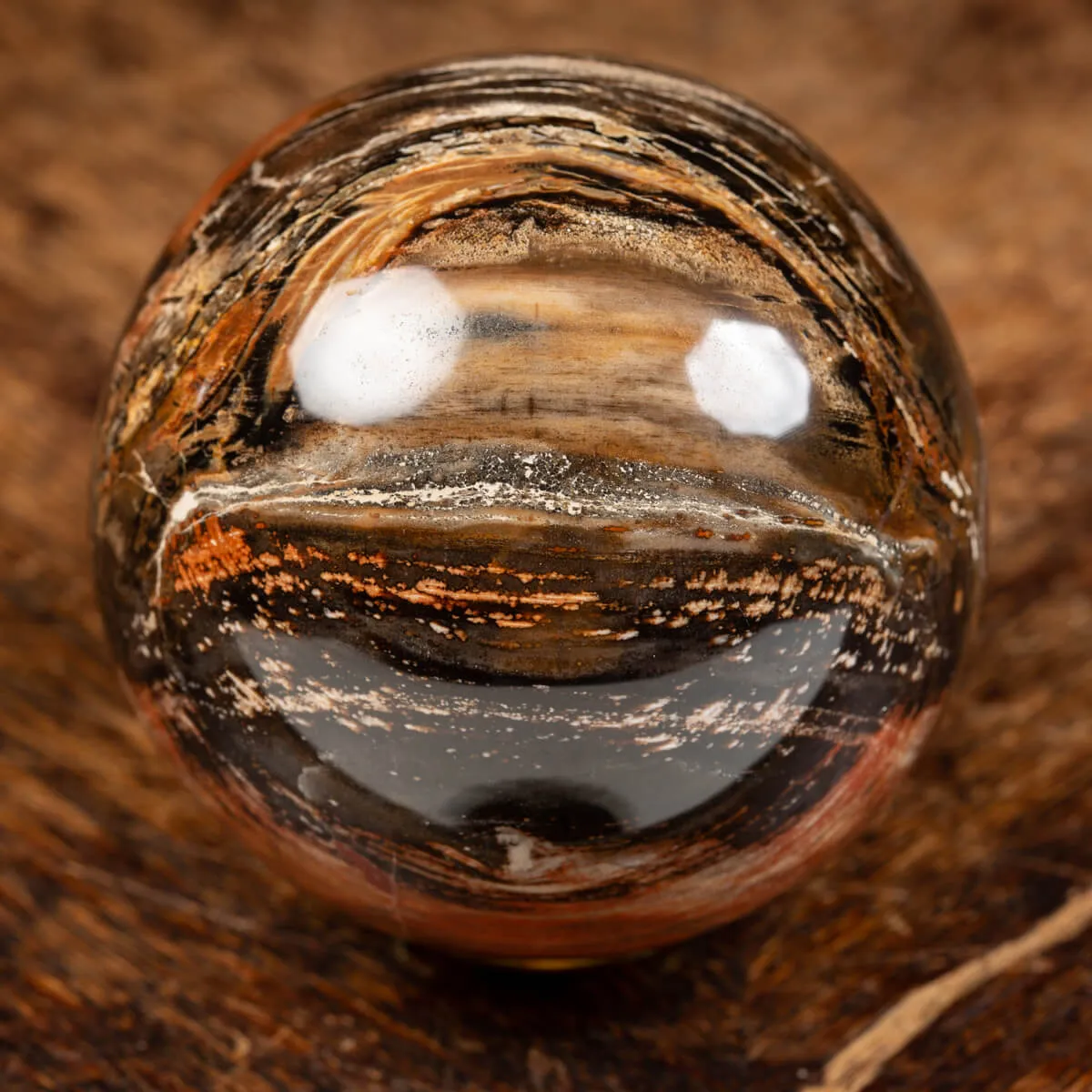 Sfera di Legno Pietrificato