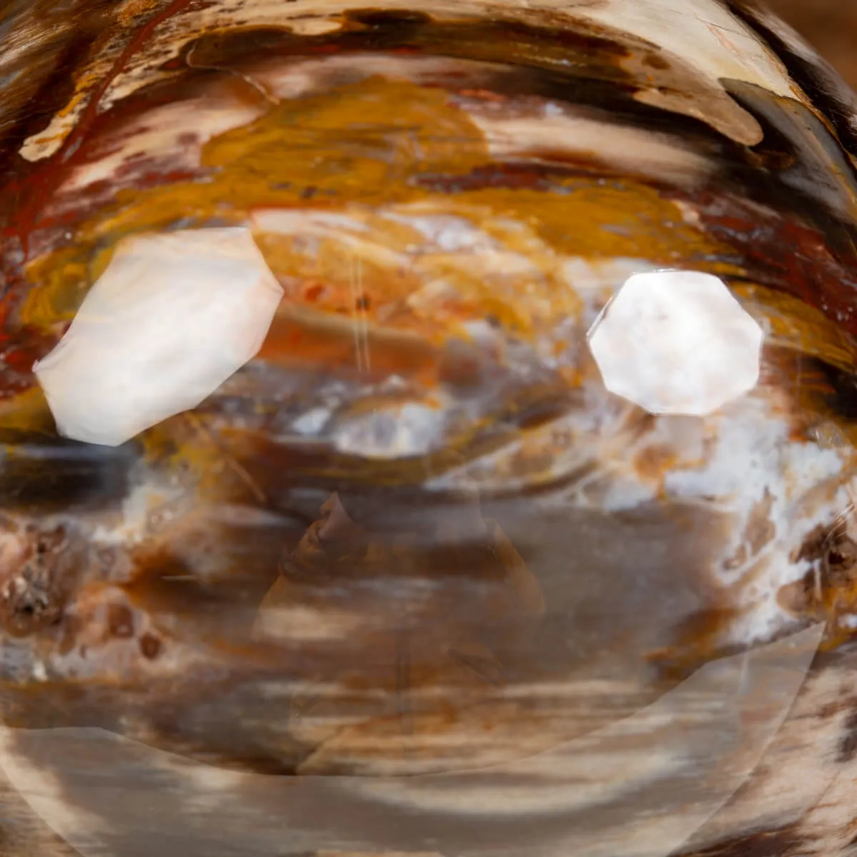 Sfera di Legno Pietrificato