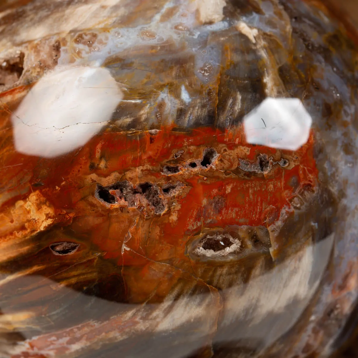 Sfera di Legno Pietrificato