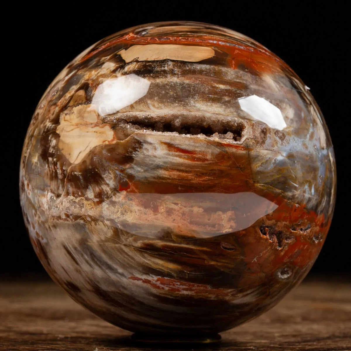 Sfera di Legno Pietrificato