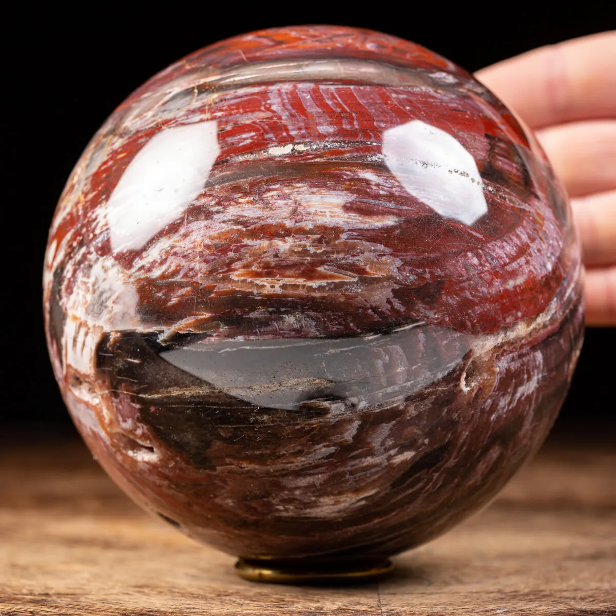 Sfera di Legno Pietrificato