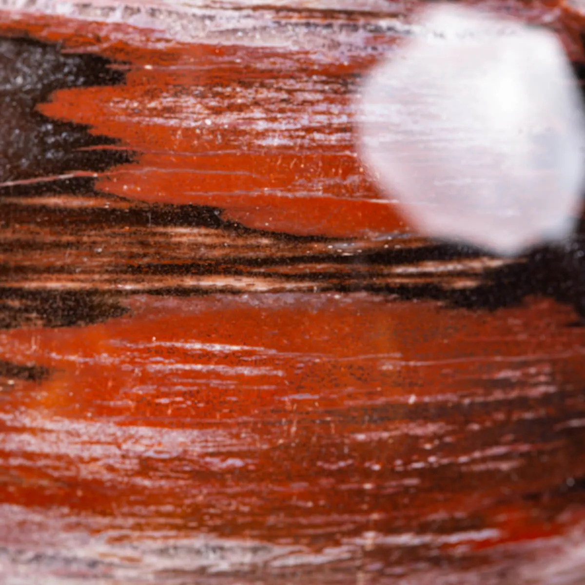 Sfera di Legno Pietrificato