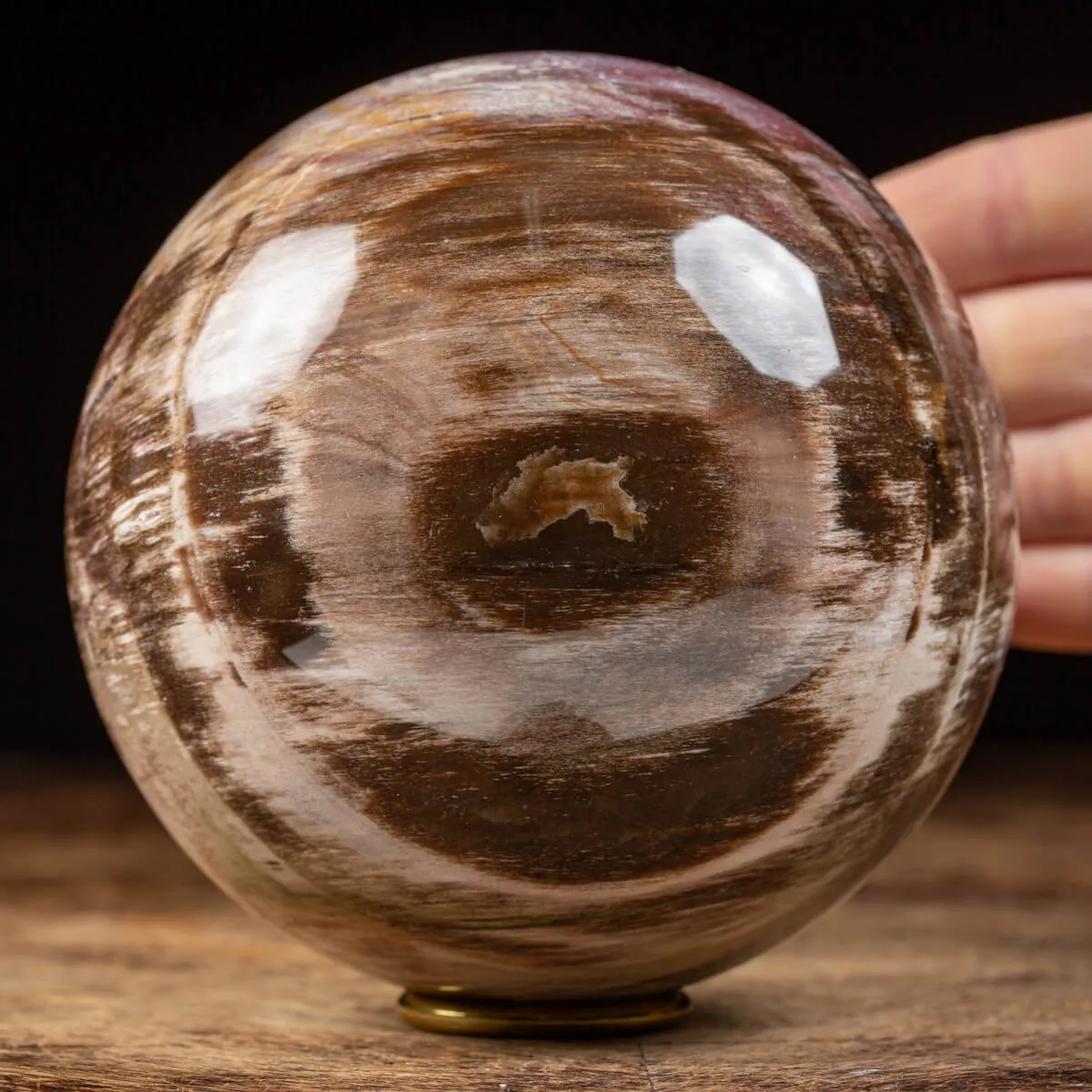 Sfera di Legno Pietrificato